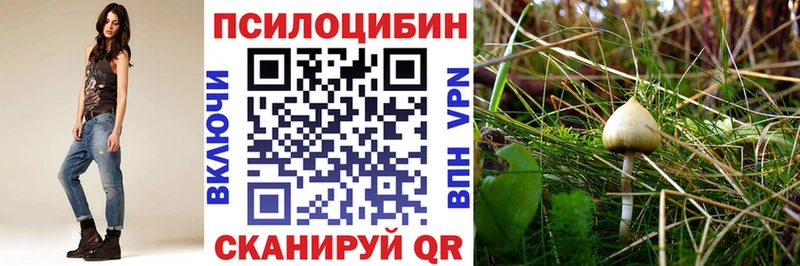 купить наркотик  Иноземцево  Галлюциногенные грибы MAGIC MUSHROOMS 